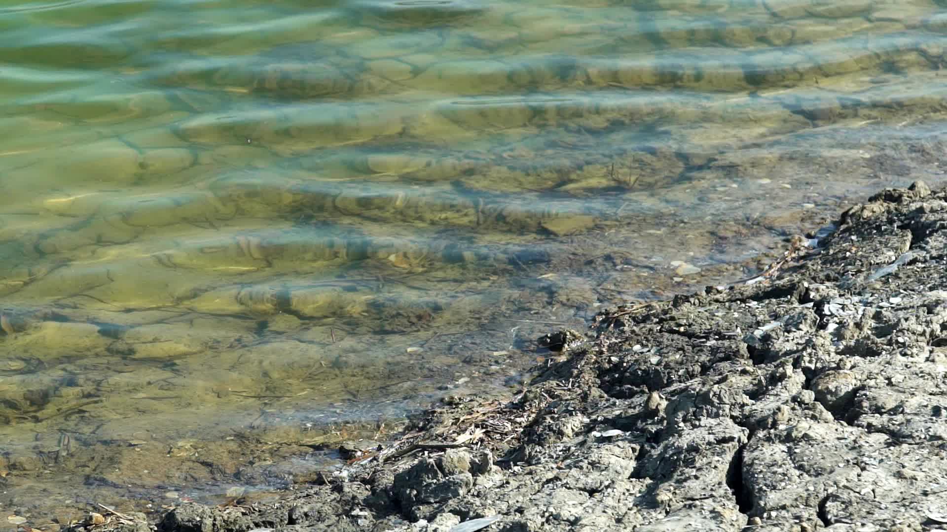 清澈见底的溪水边视频的预览图