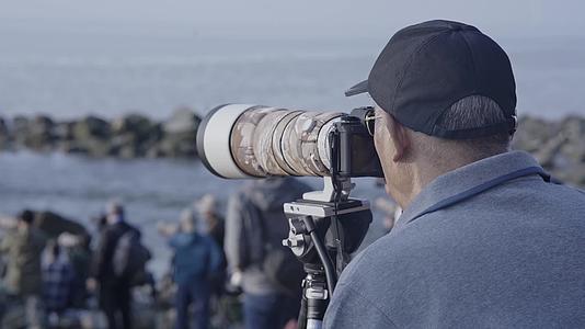 深圳湾湿地保护区摄影师摄影拍照打鸟视频视频的预览图