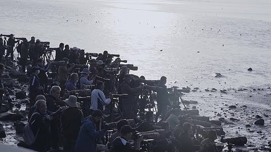 深圳湾湿地保护区摄影师摄影拍照视频的预览图