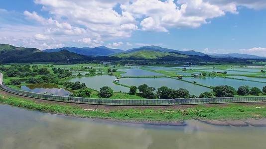 香港米铺自然湿地航拍视频的预览图