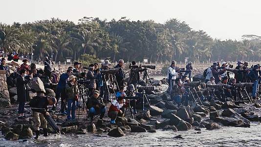 深圳湾湿地保护区摄影师摄影拍照视频的预览图