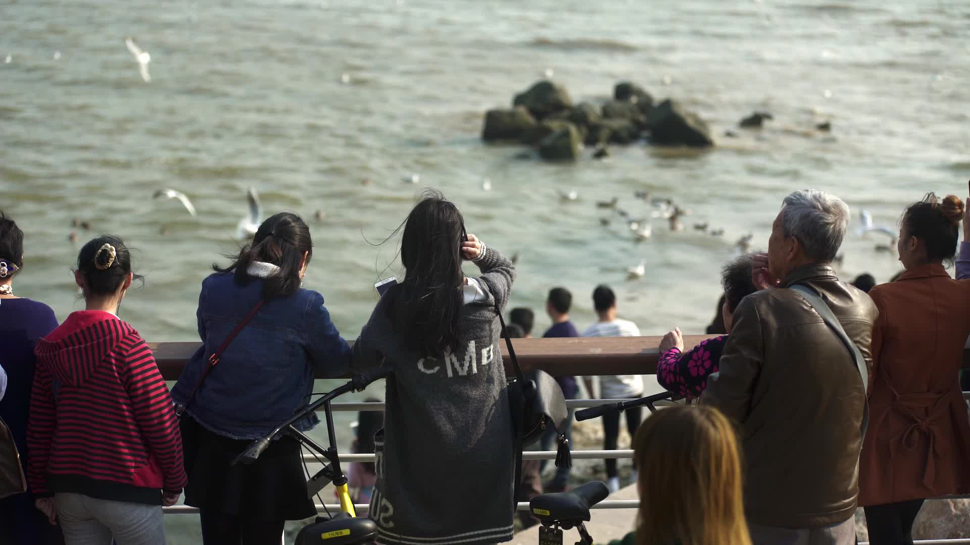 深圳湾湿地保护区游客风景视频的预览图