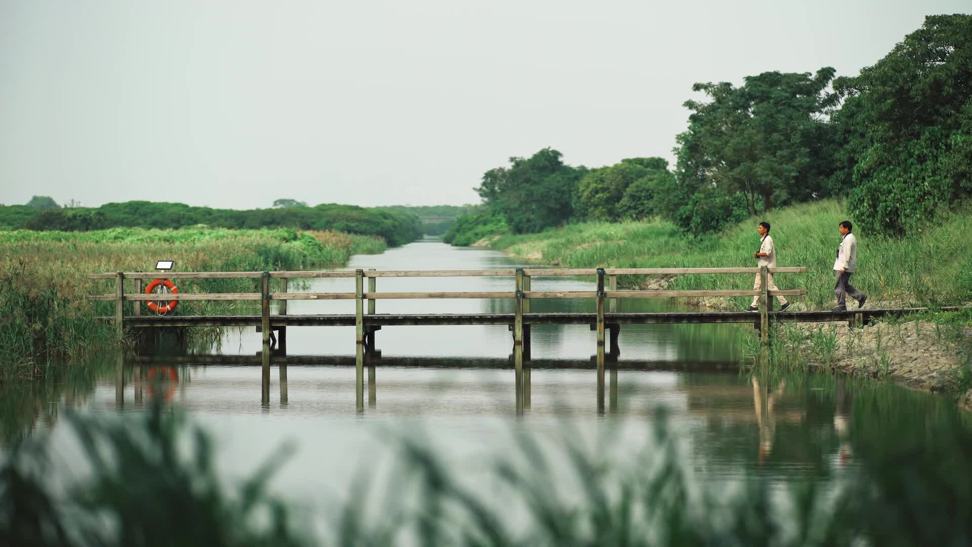 深圳湾湿地保护区视频的预览图