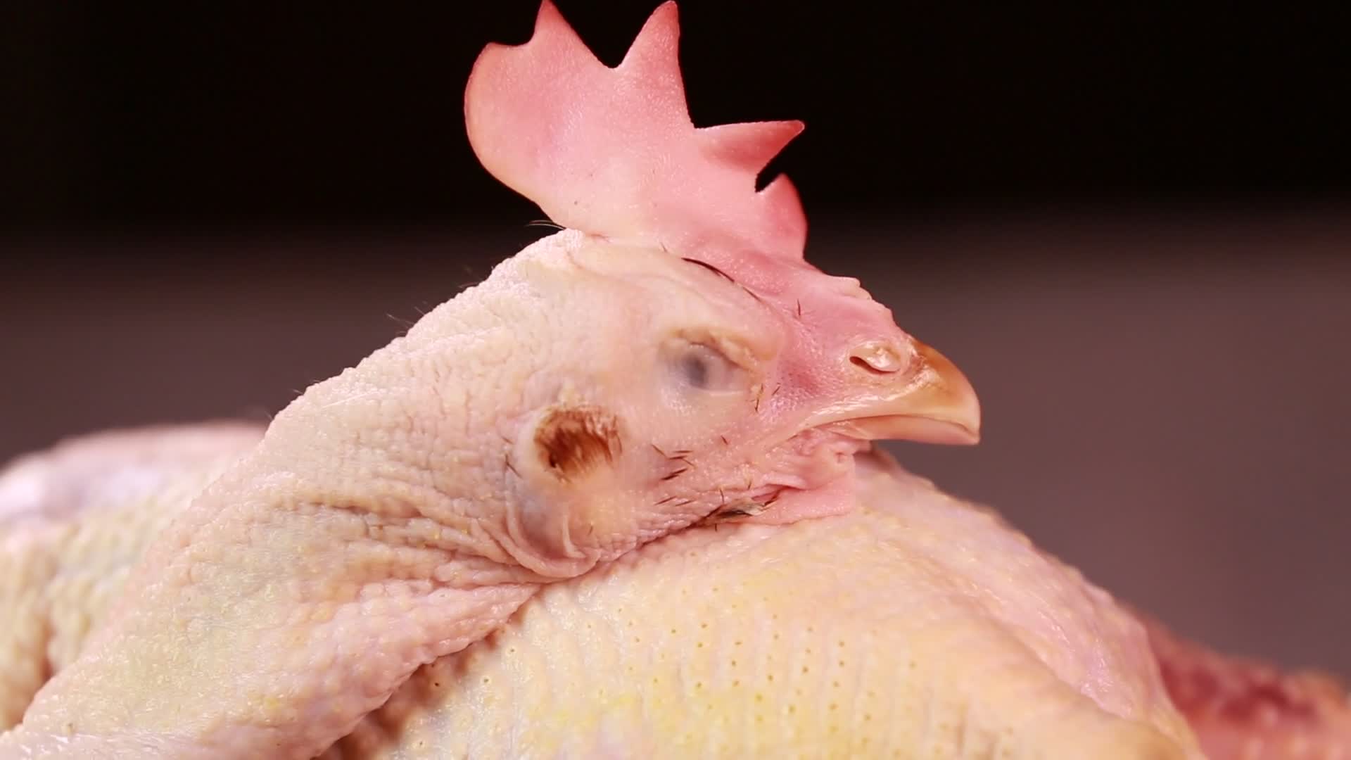 白条鸡整鸡鸡肉视频的预览图
