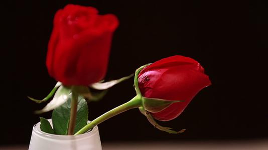 美丽玫瑰爱情七夕鲜花视频的预览图