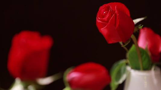 美丽玫瑰爱情七夕鲜花视频的预览图