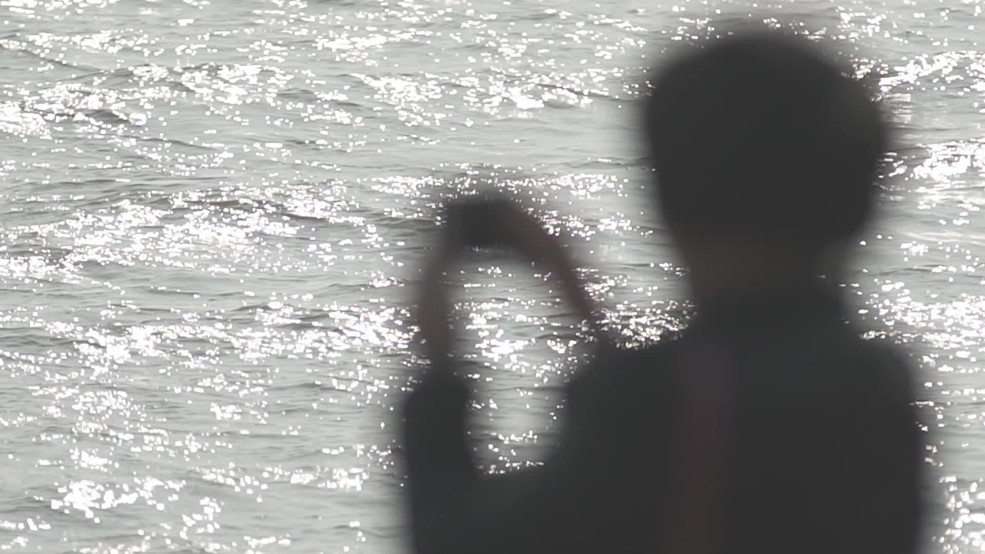 深圳湾游客观鸟拍照波光粼粼水面视频的预览图