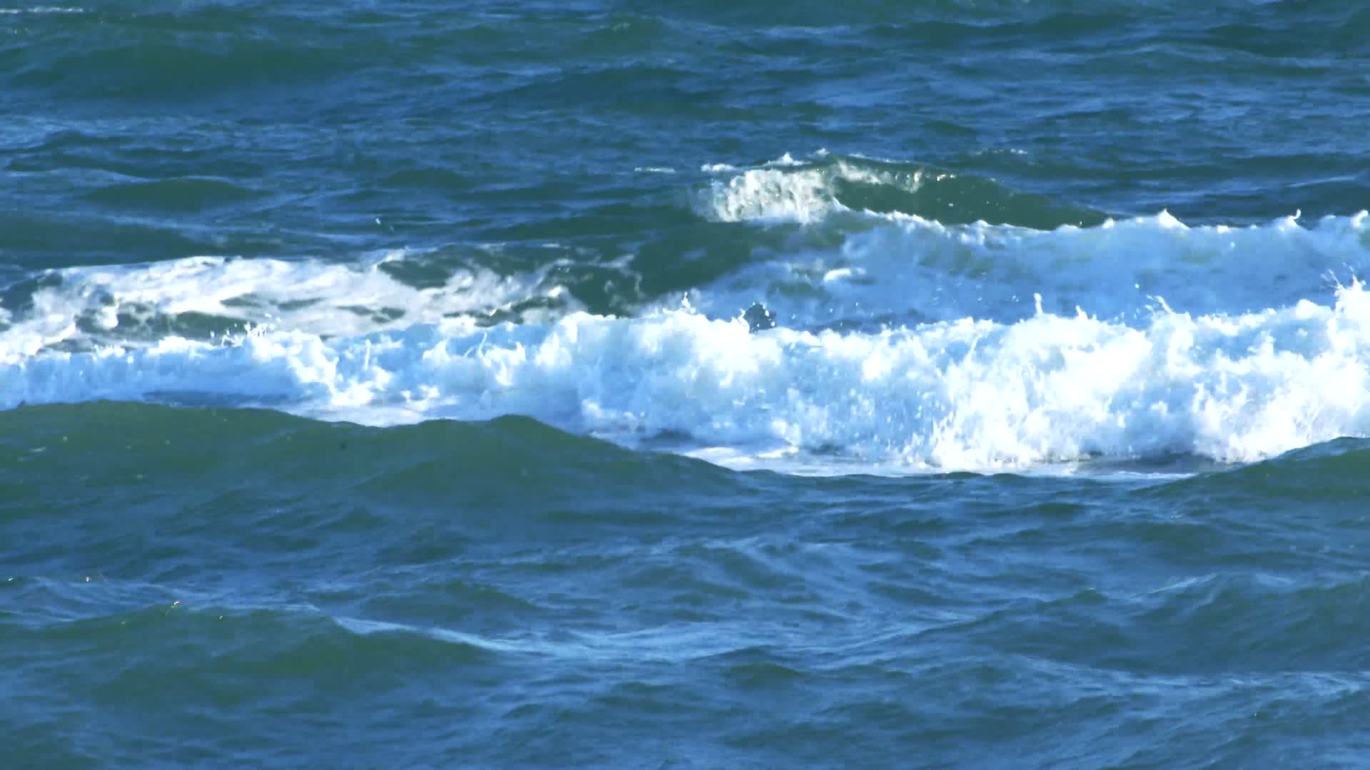 海浪浪花视频的预览图