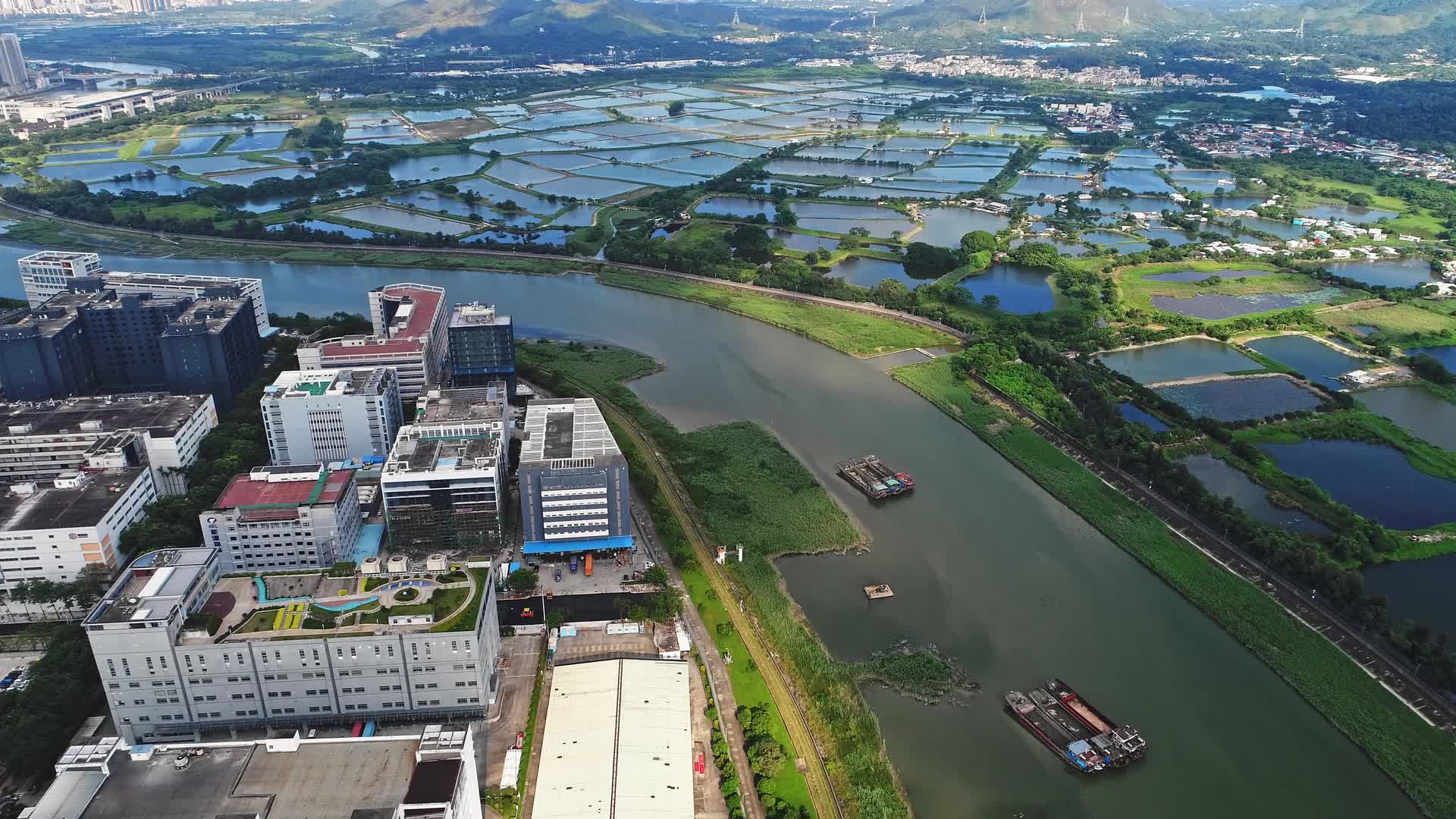 深圳河入海口实拍视频视频的预览图