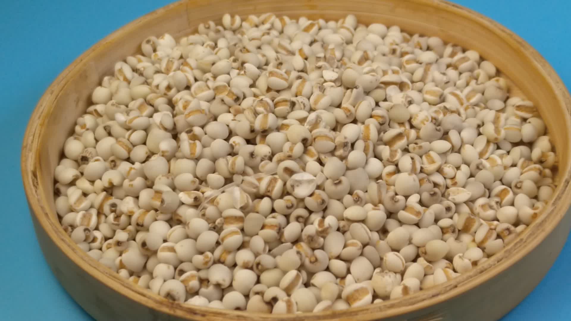五谷杂粮薏米仁薏仁视频的预览图