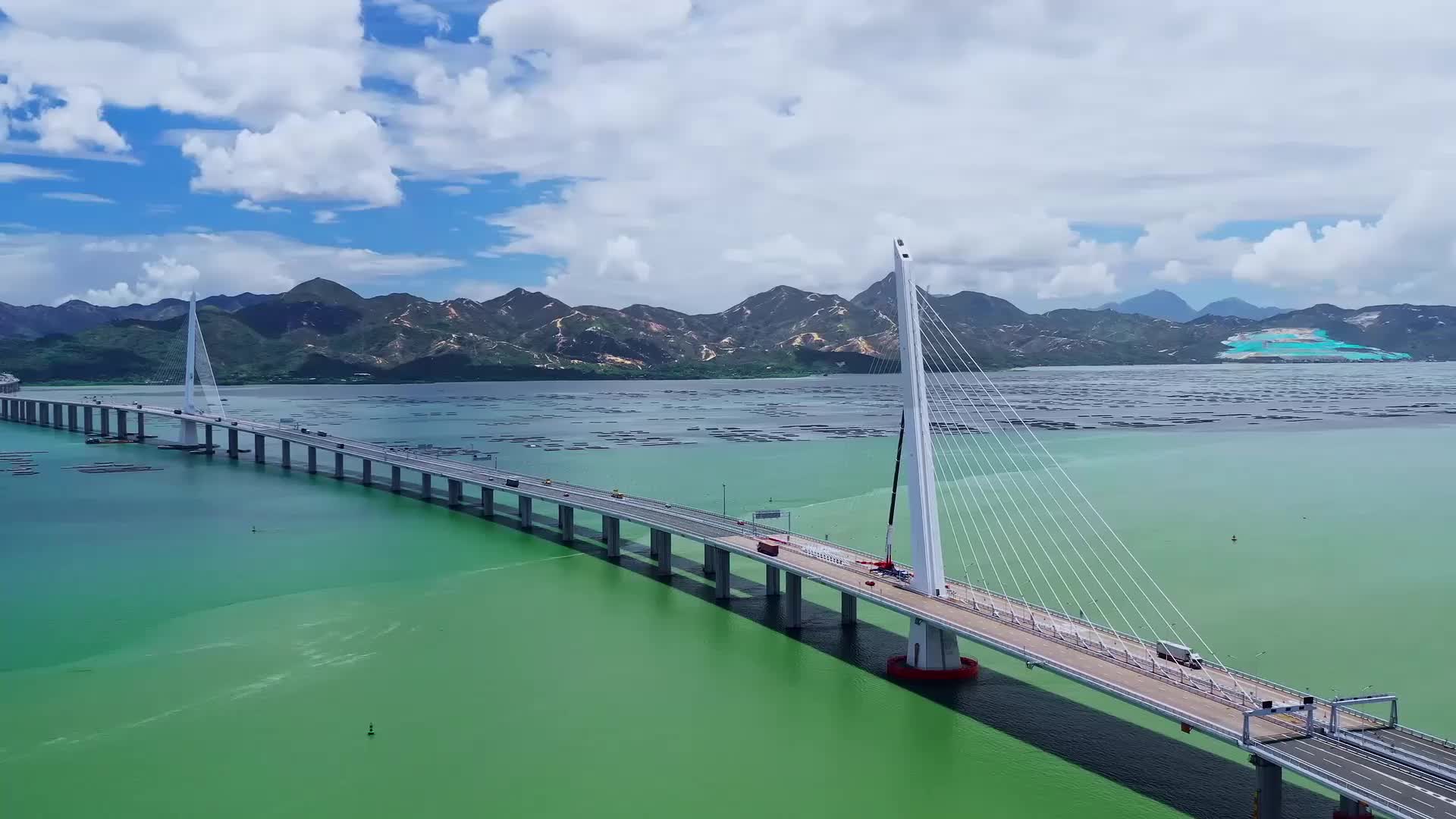 深圳湾跨海大桥视频的预览图