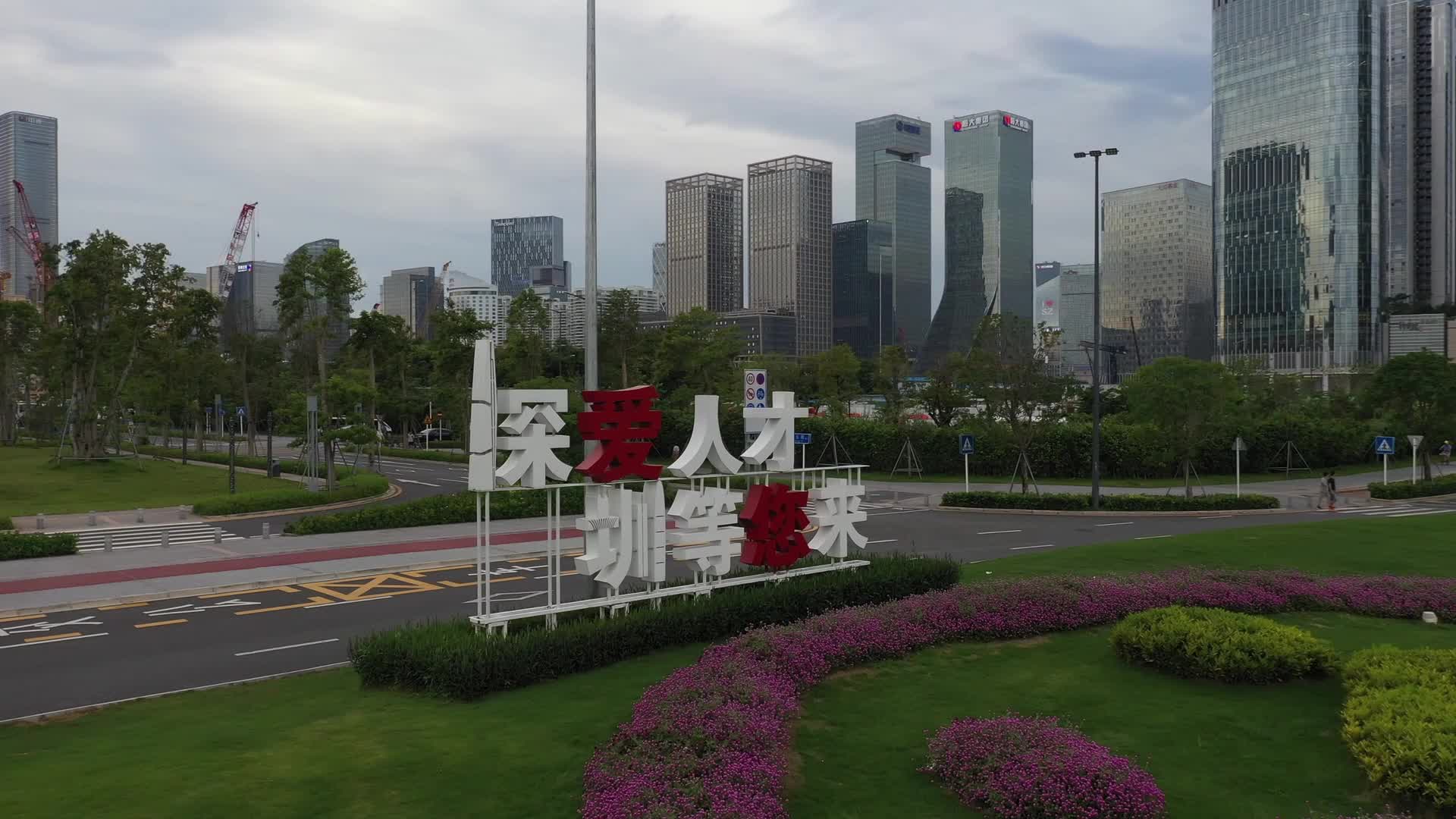 深圳湾人才公园航拍视频视频的预览图