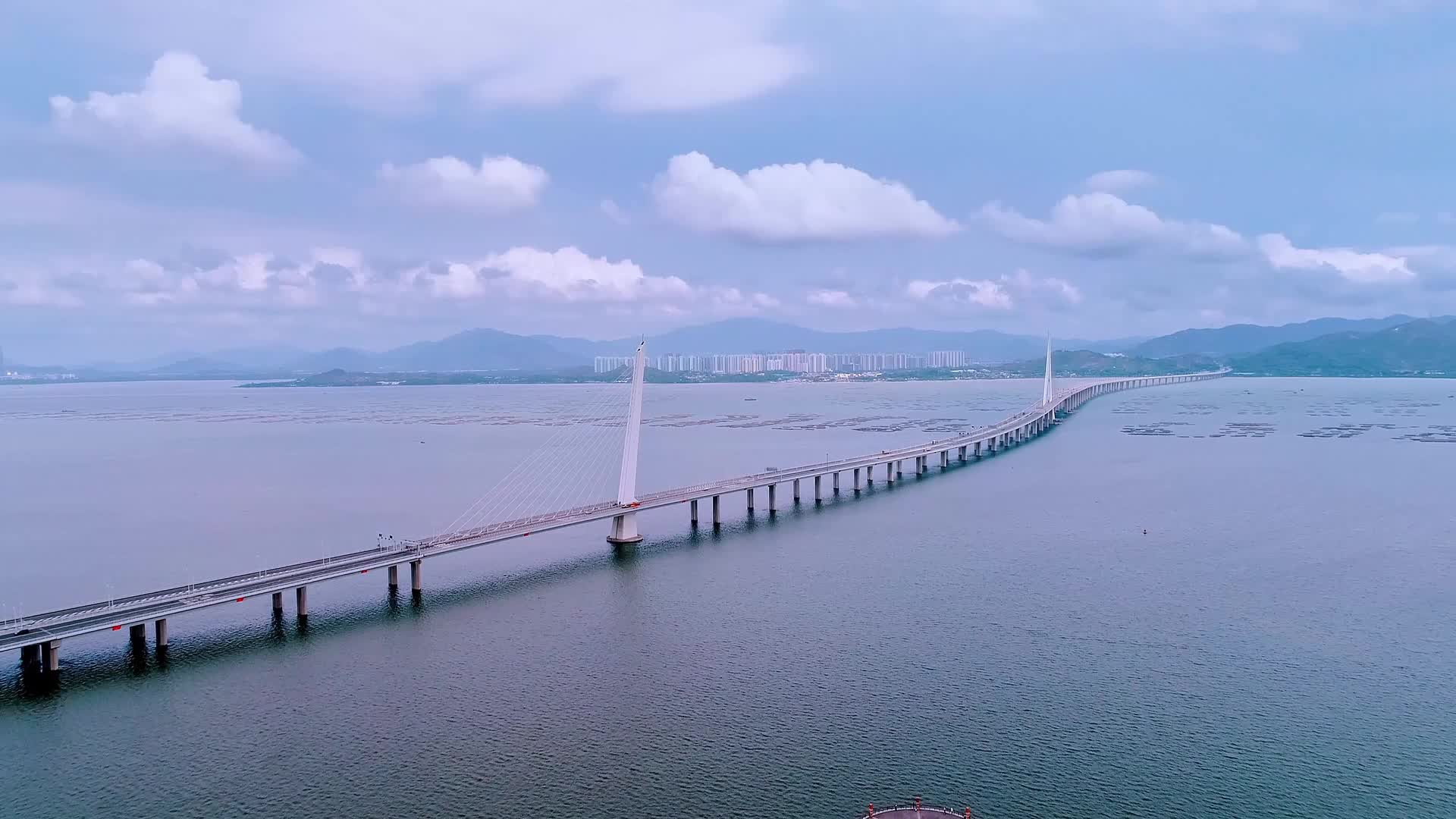 深圳湾跨海大桥视频的预览图