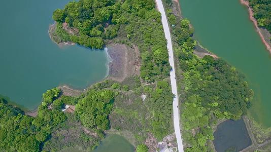 岳阳千岛湖铁山水库自然风光视频的预览图
