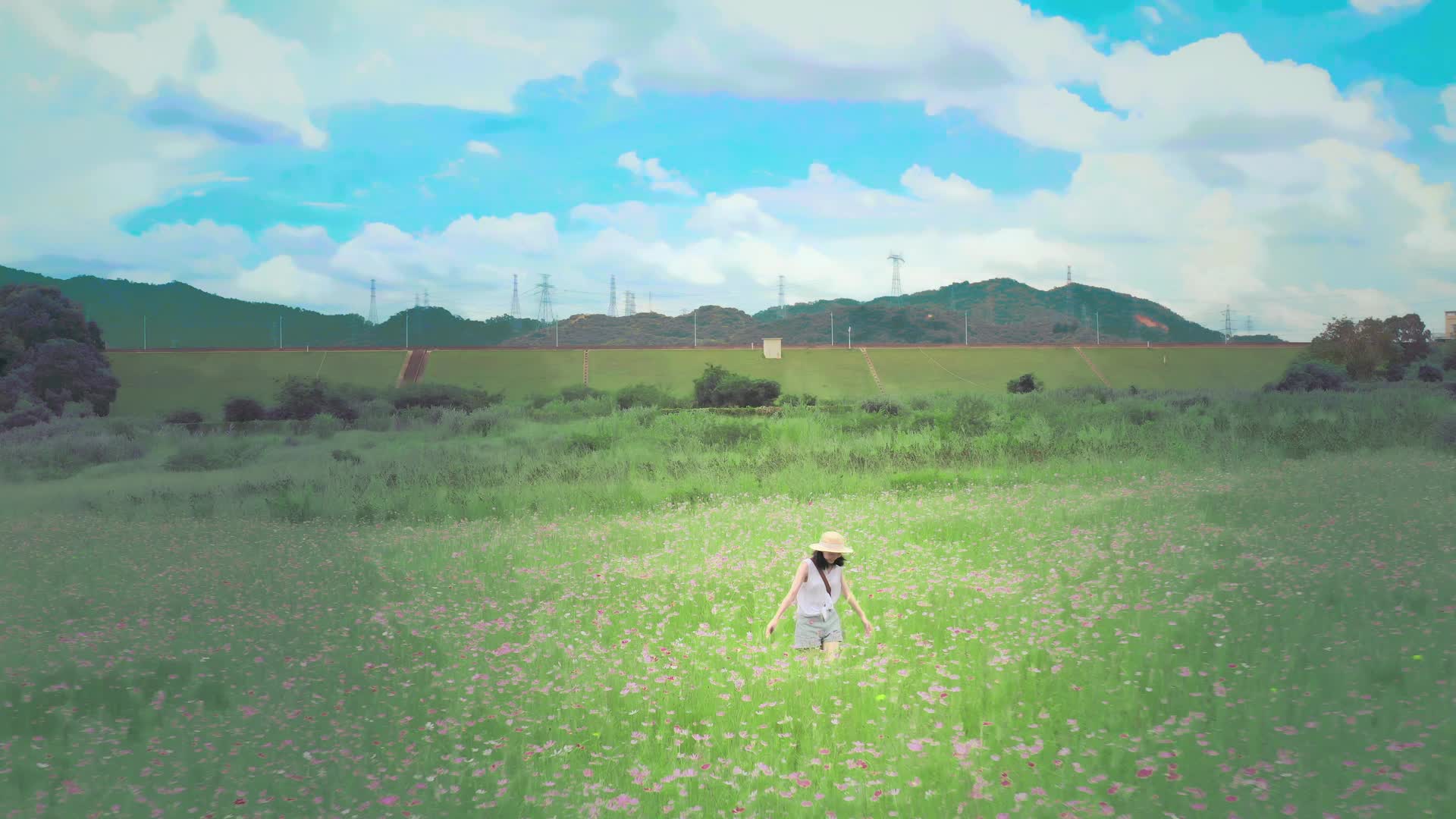 花间田野油画少女视频的预览图