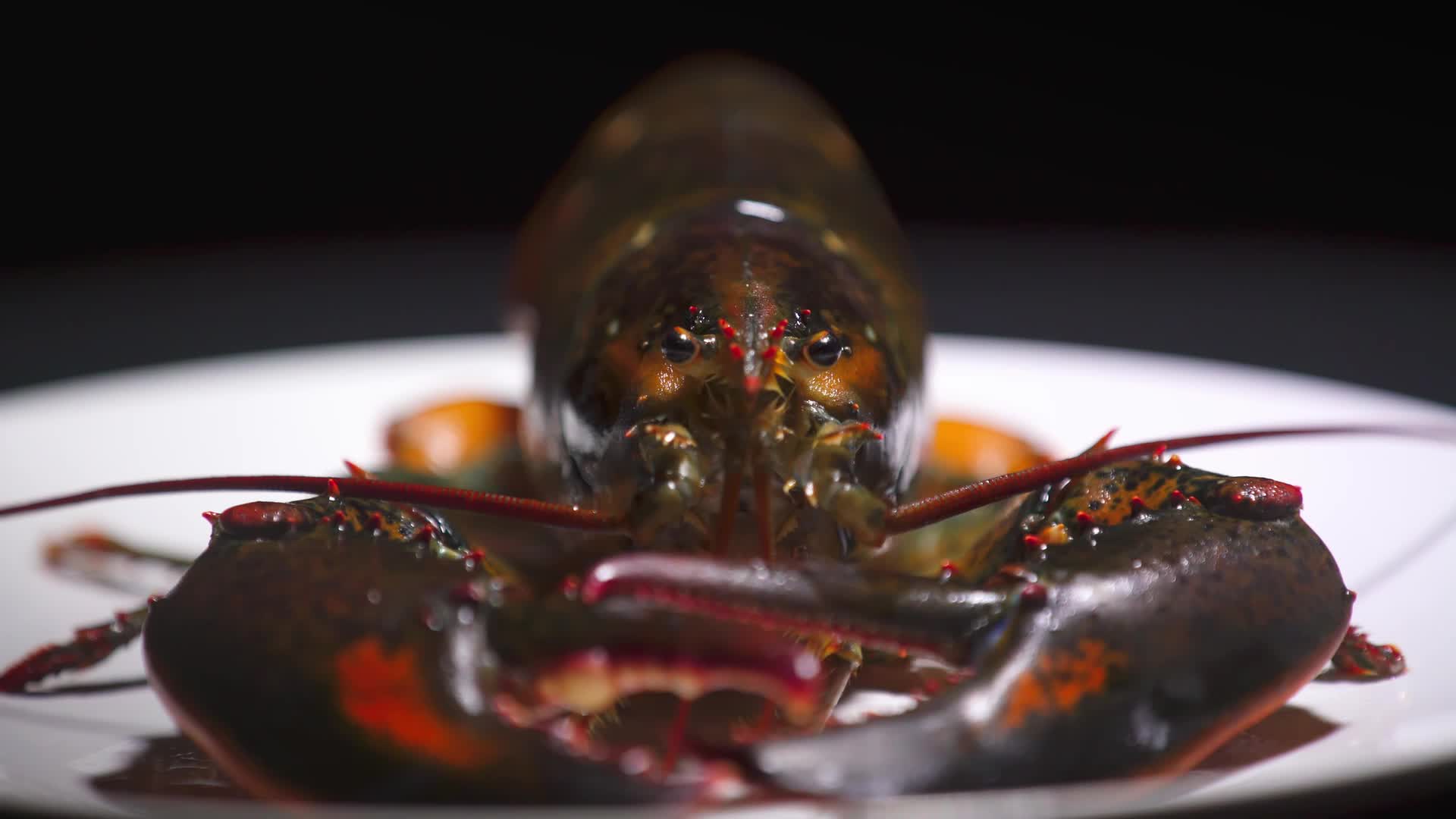 海鲜龙虾美食烹饪实拍视频的预览图