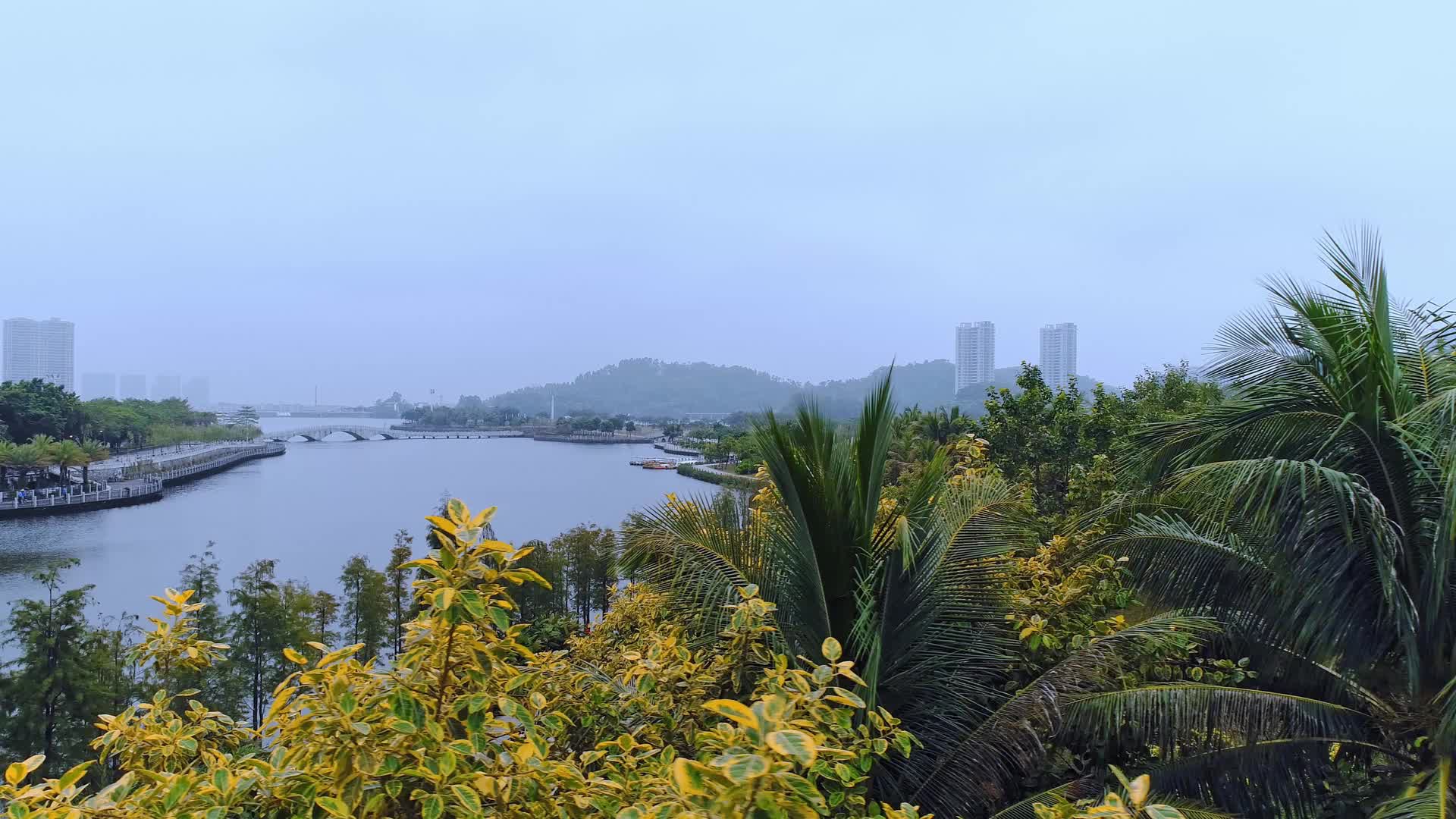 广东阳江城市风光视频的预览图