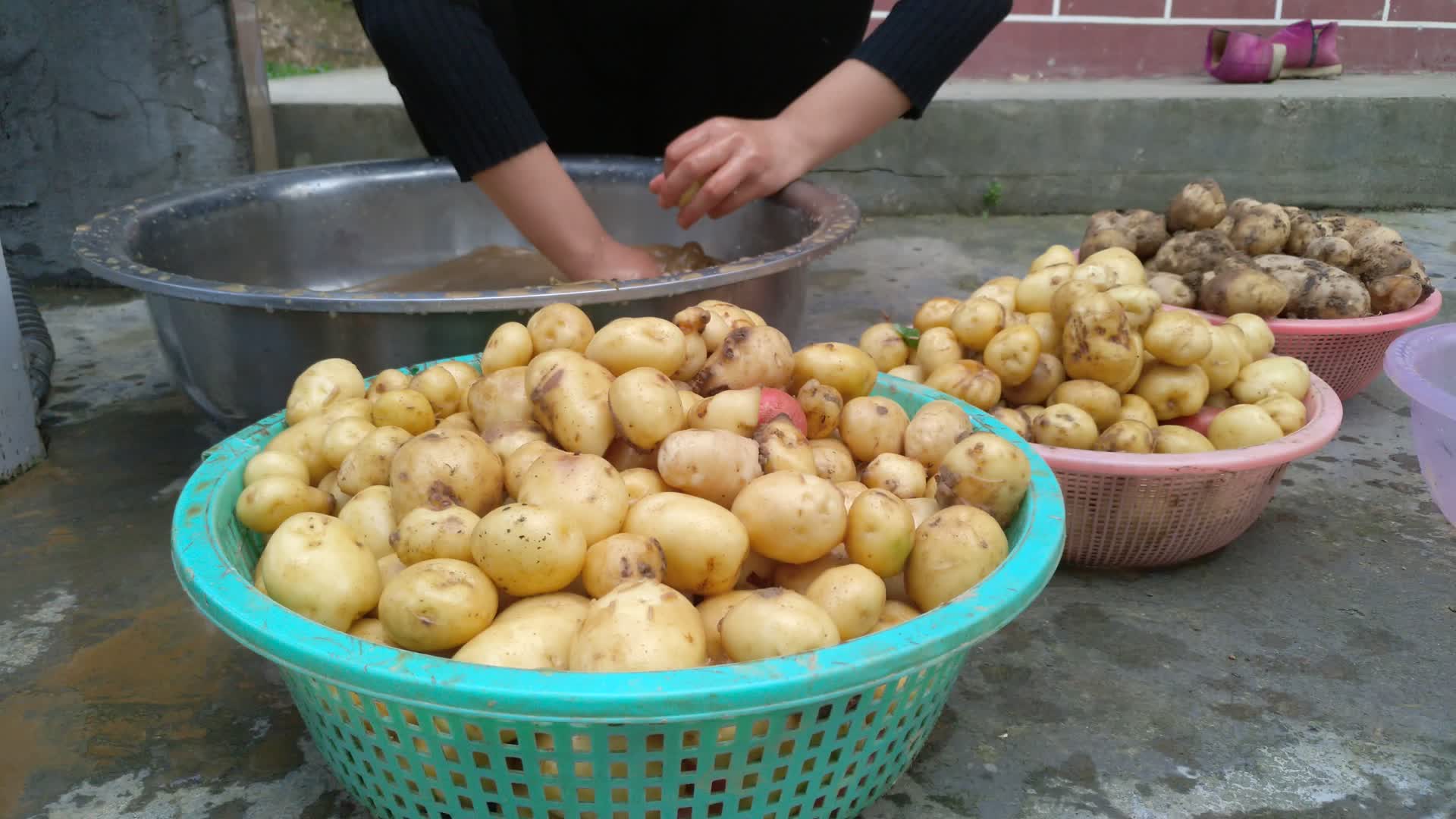 农村清洗土豆马铃薯视频的预览图