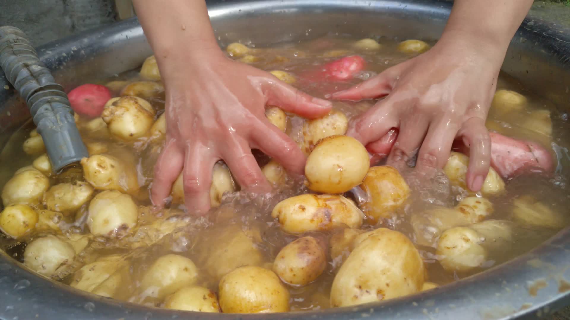 农村挖洗土豆马铃薯视频的预览图
