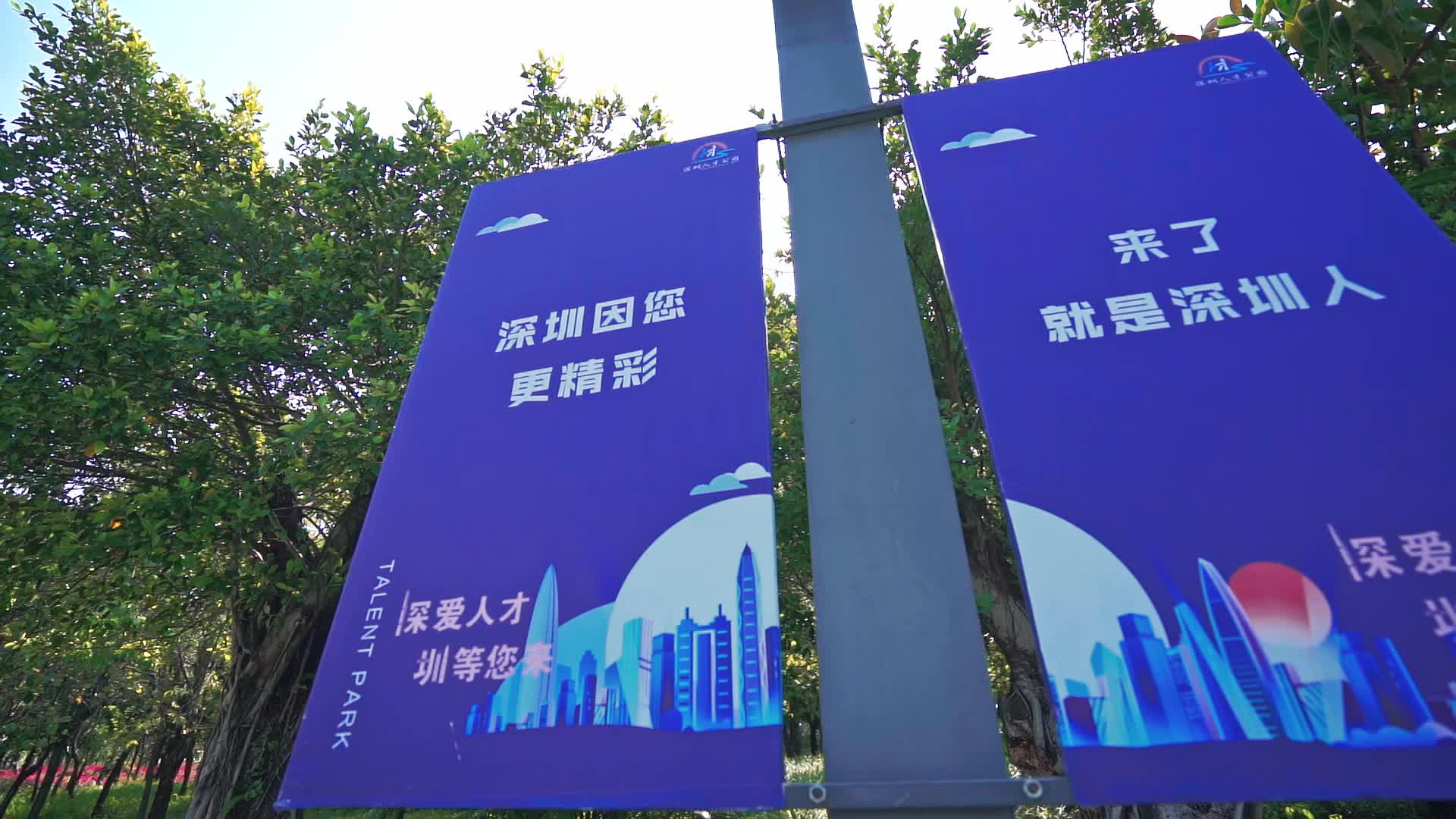 深圳南山区人才公园城市地标华润春笋视频的预览图
