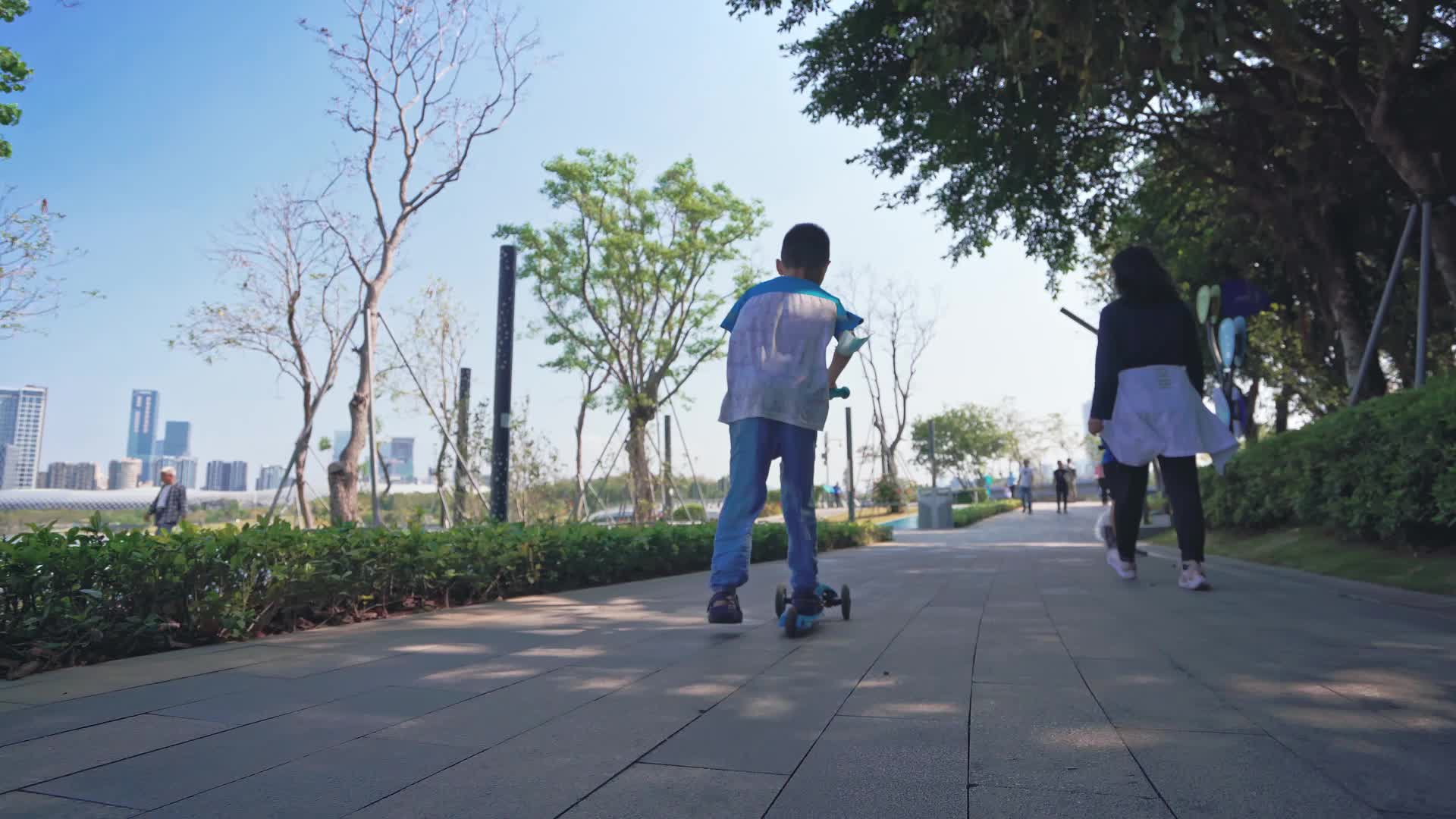 深圳南山区人才公园人文视频的预览图