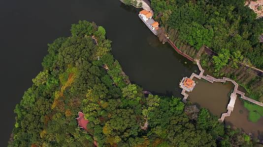 深圳梧桐山洪湖公园自然风光航拍视频视频的预览图