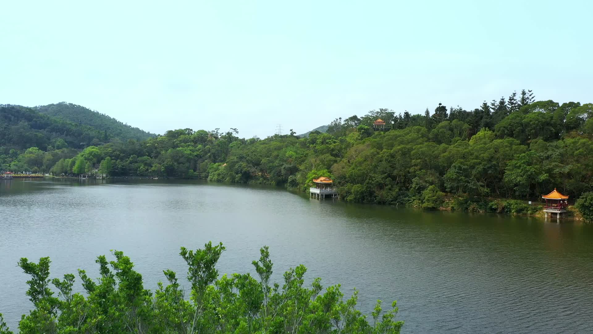 深圳梧桐山洪湖公园自然风光航拍视频视频的预览图