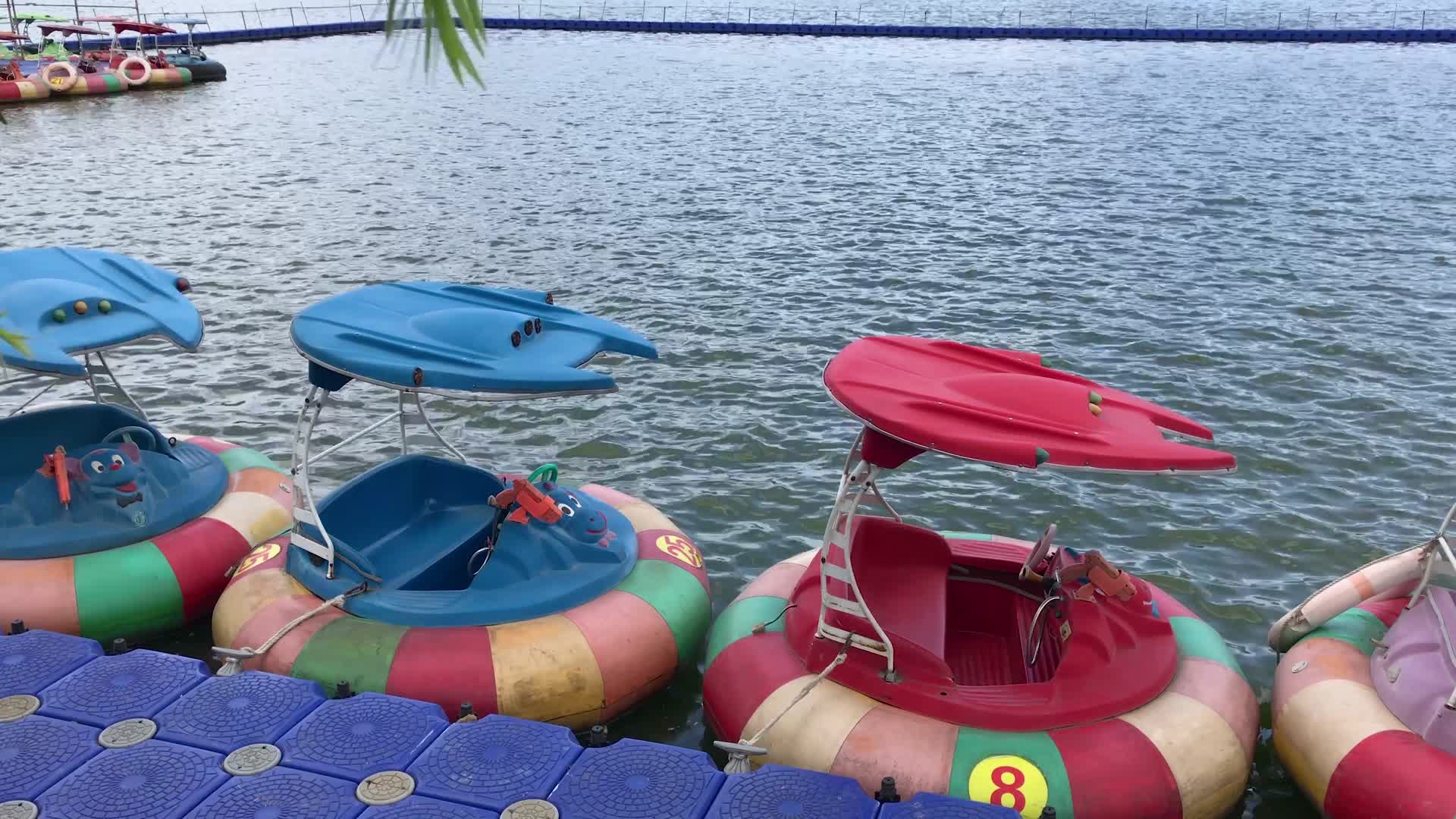 公园里水面上的游乐皮艇视频的预览图