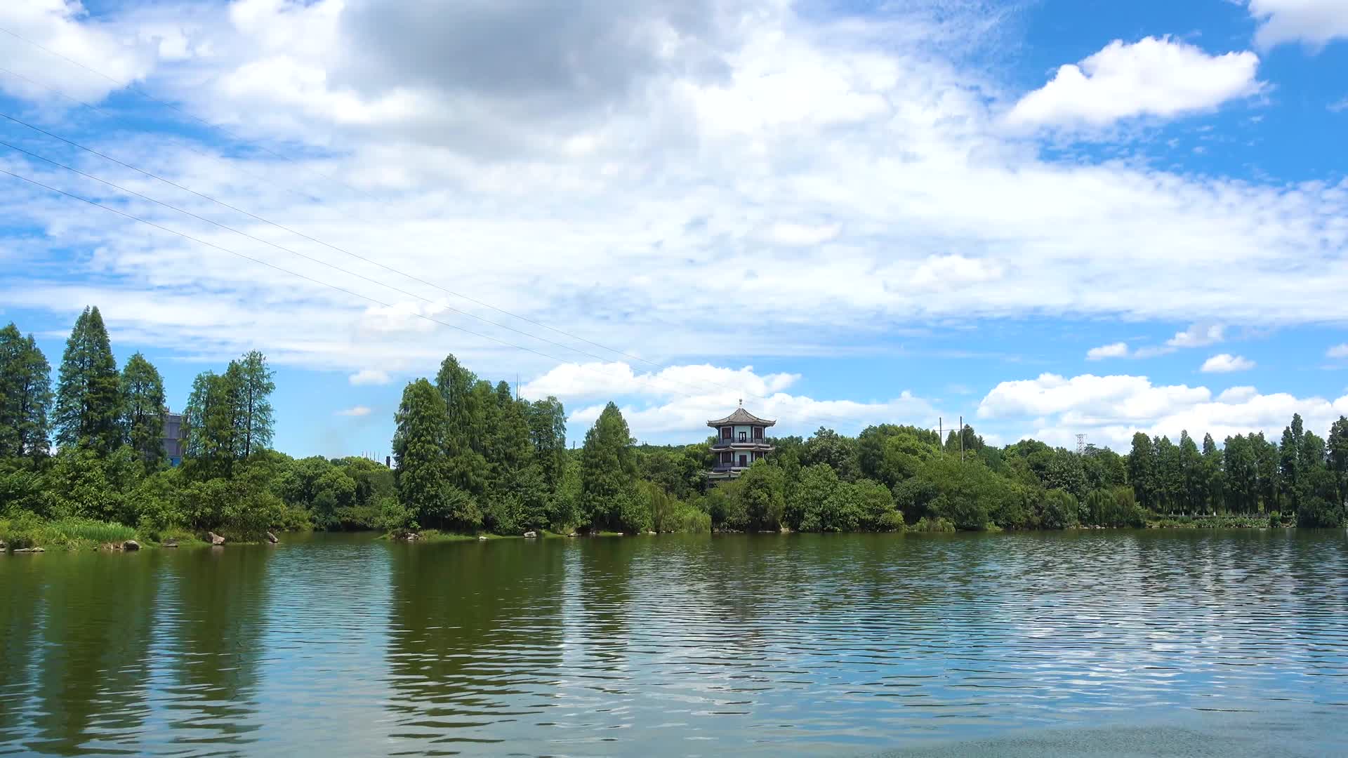 湖南衡阳南湖公园自然风光视频的预览图