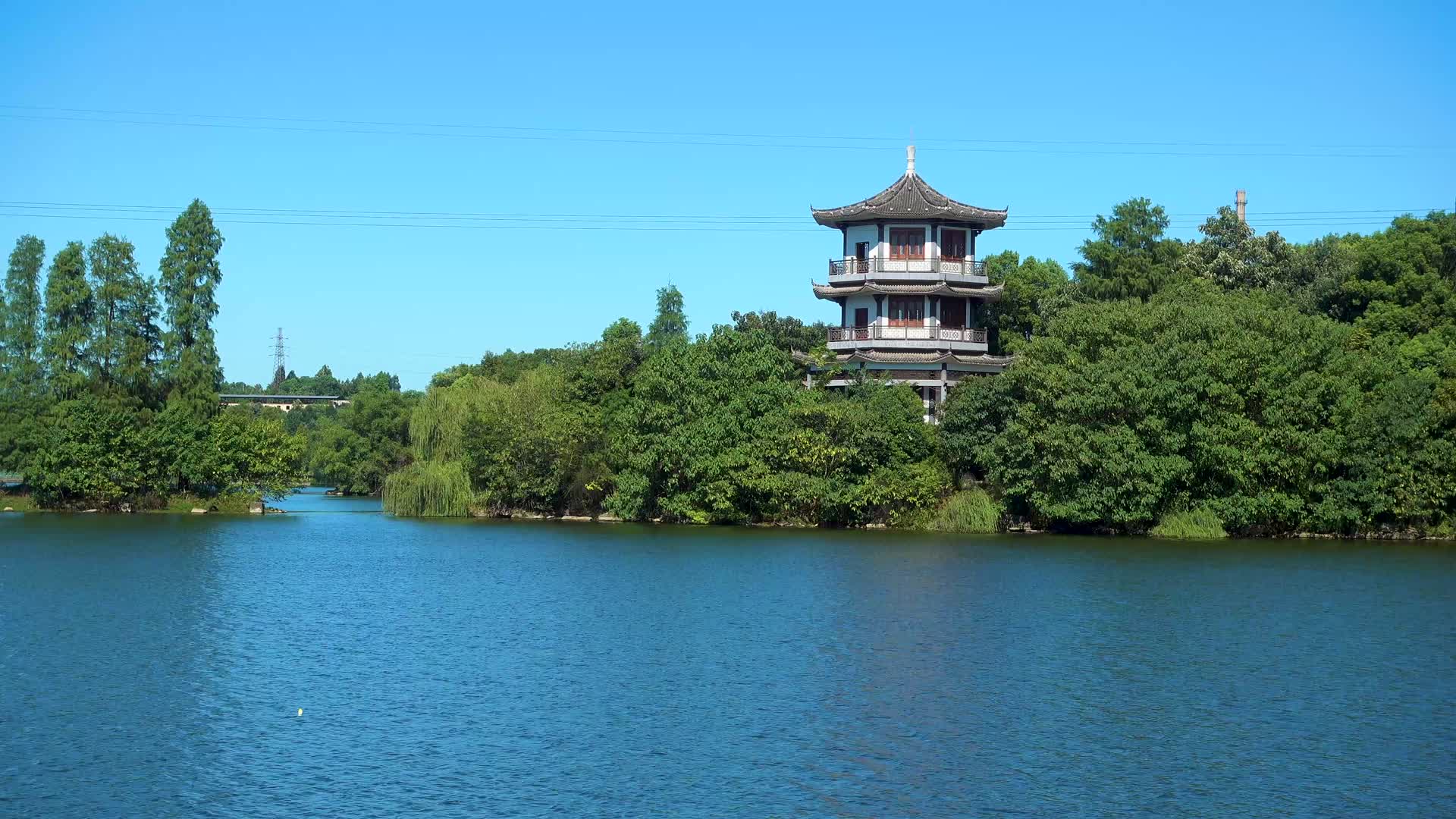 湖南衡阳南湖公园自然风光视频的预览图