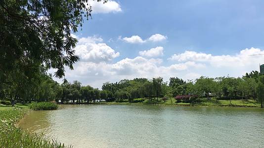 公园湖水风景视频的预览图