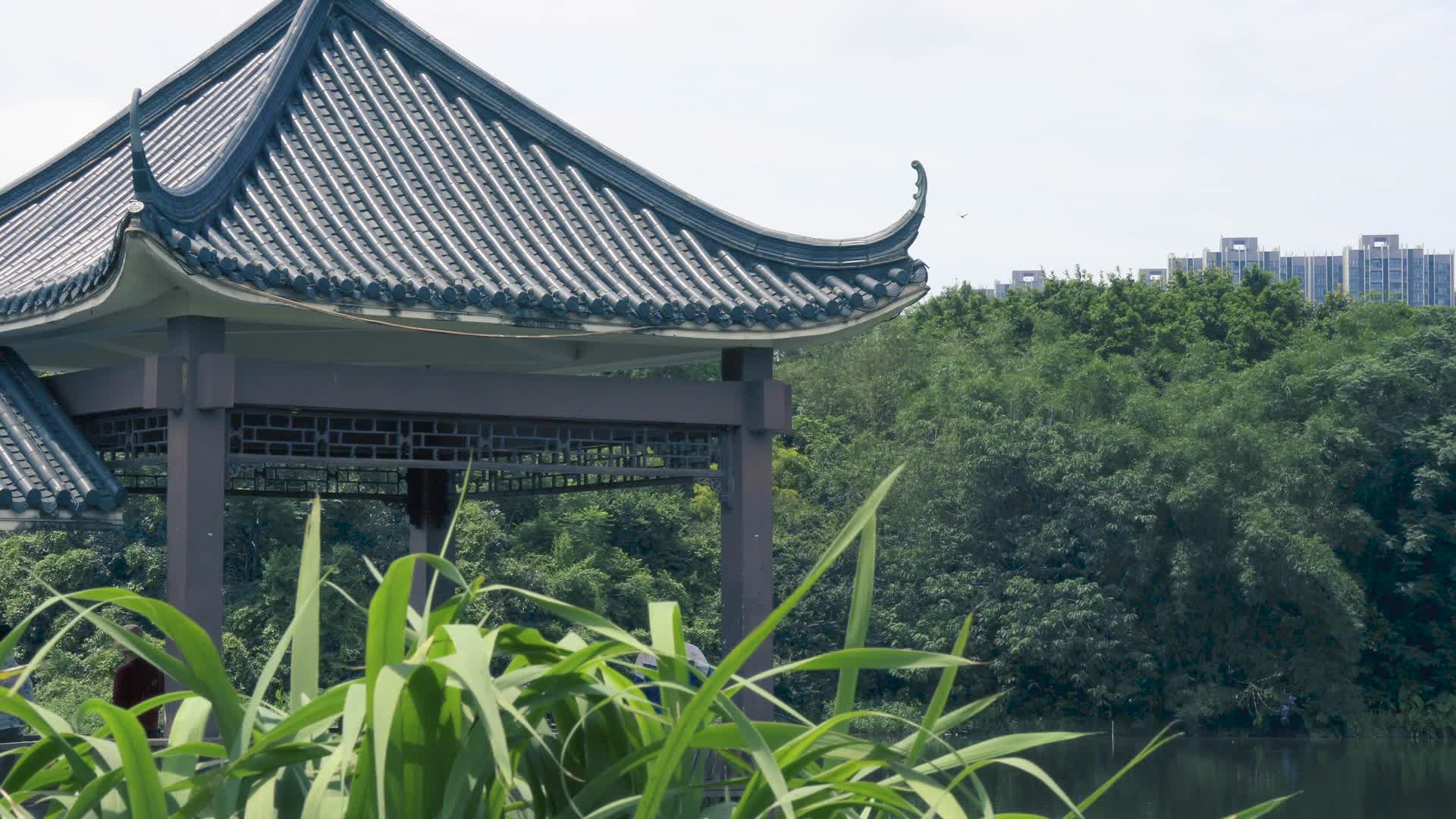 公园里的中国风格传统建筑亭子视频的预览图