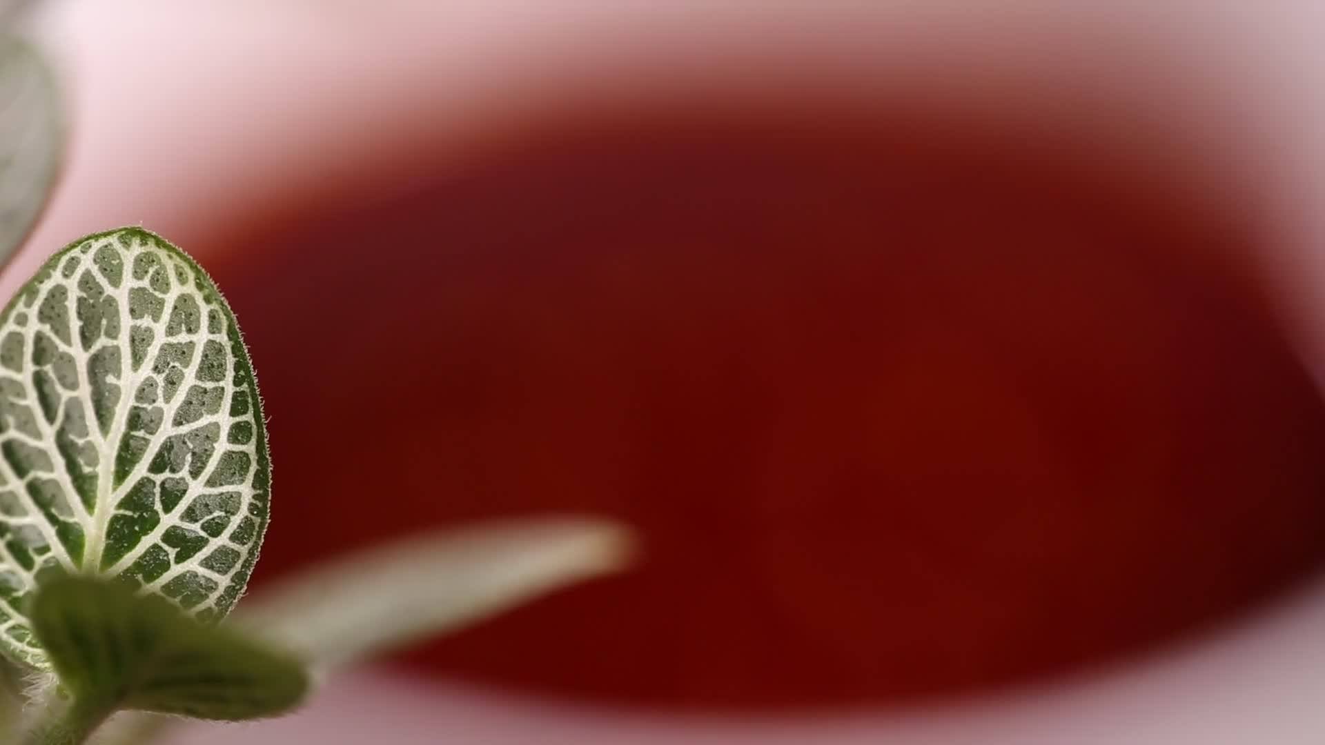 大拌菜料汁捞汁视频的预览图