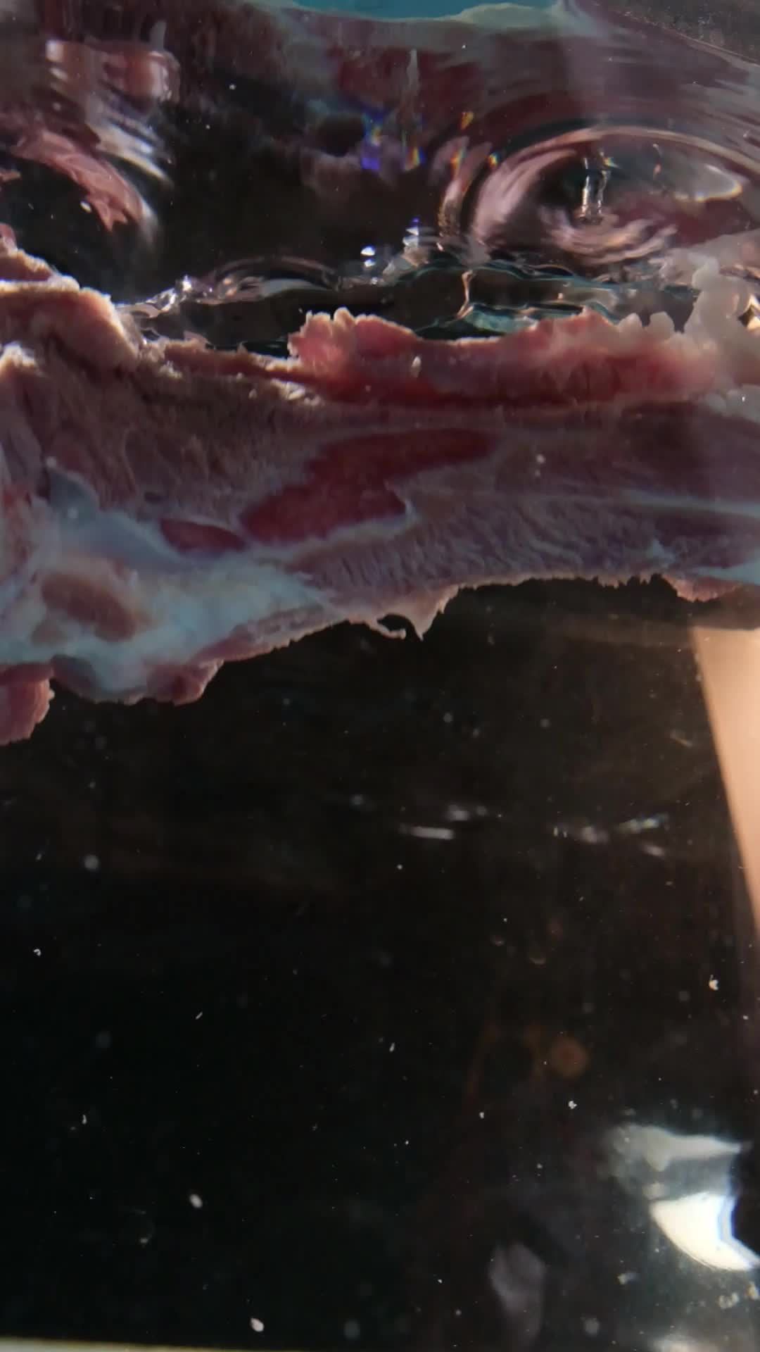 猪骨头猪筒骨落到水里视频的预览图