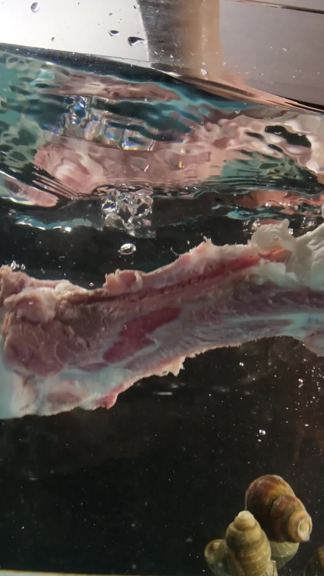 煮骨头掉入水里螺蛳粉配料视频的预览图