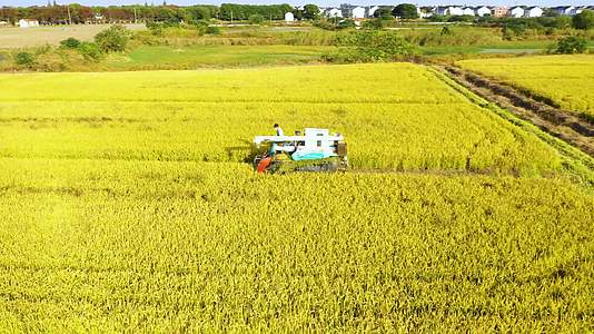 4K水稻收割航拍视频的预览图