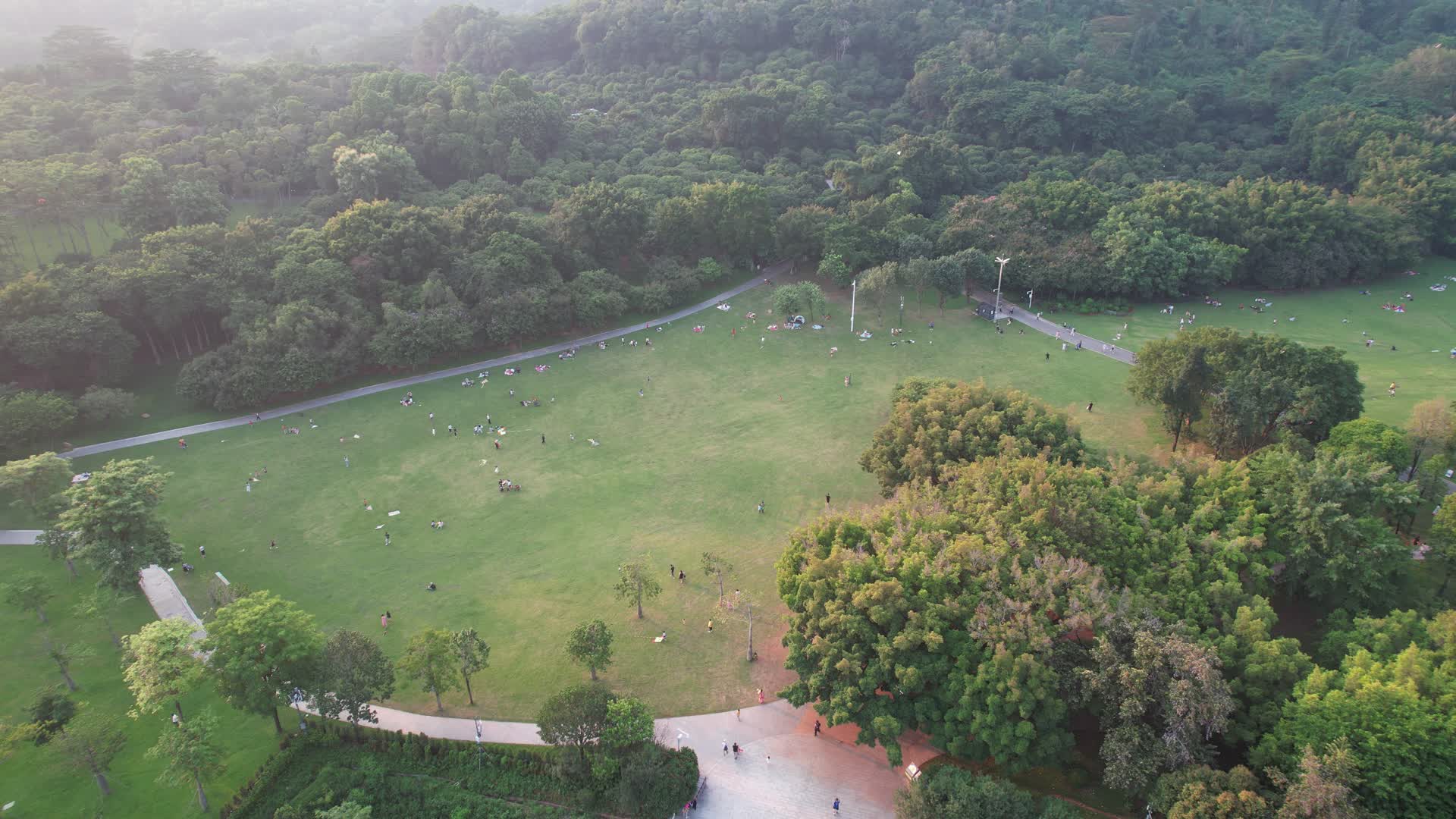 深圳莲花山公园风筝区航拍视频的预览图