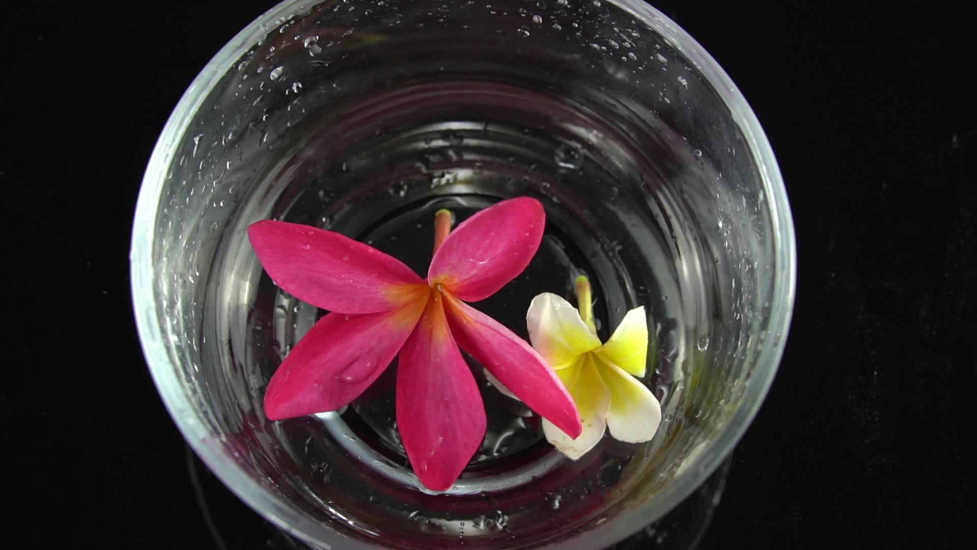 向盛有花朵的玻璃碗倒水视频的预览图