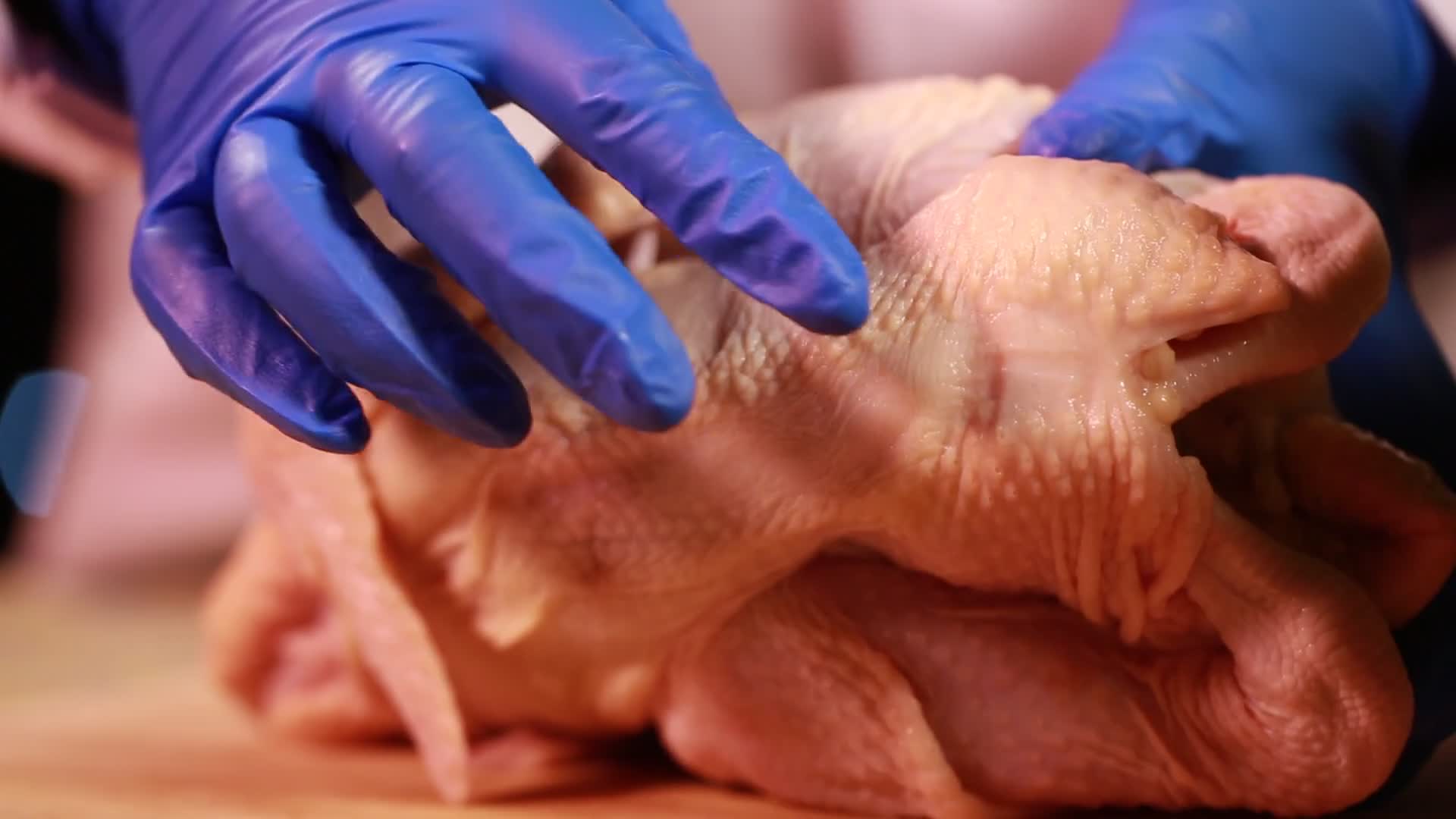 鸡肉肉质质量检查视频的预览图