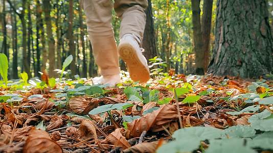 秋天户外森林落叶中徒步实拍视频的预览图