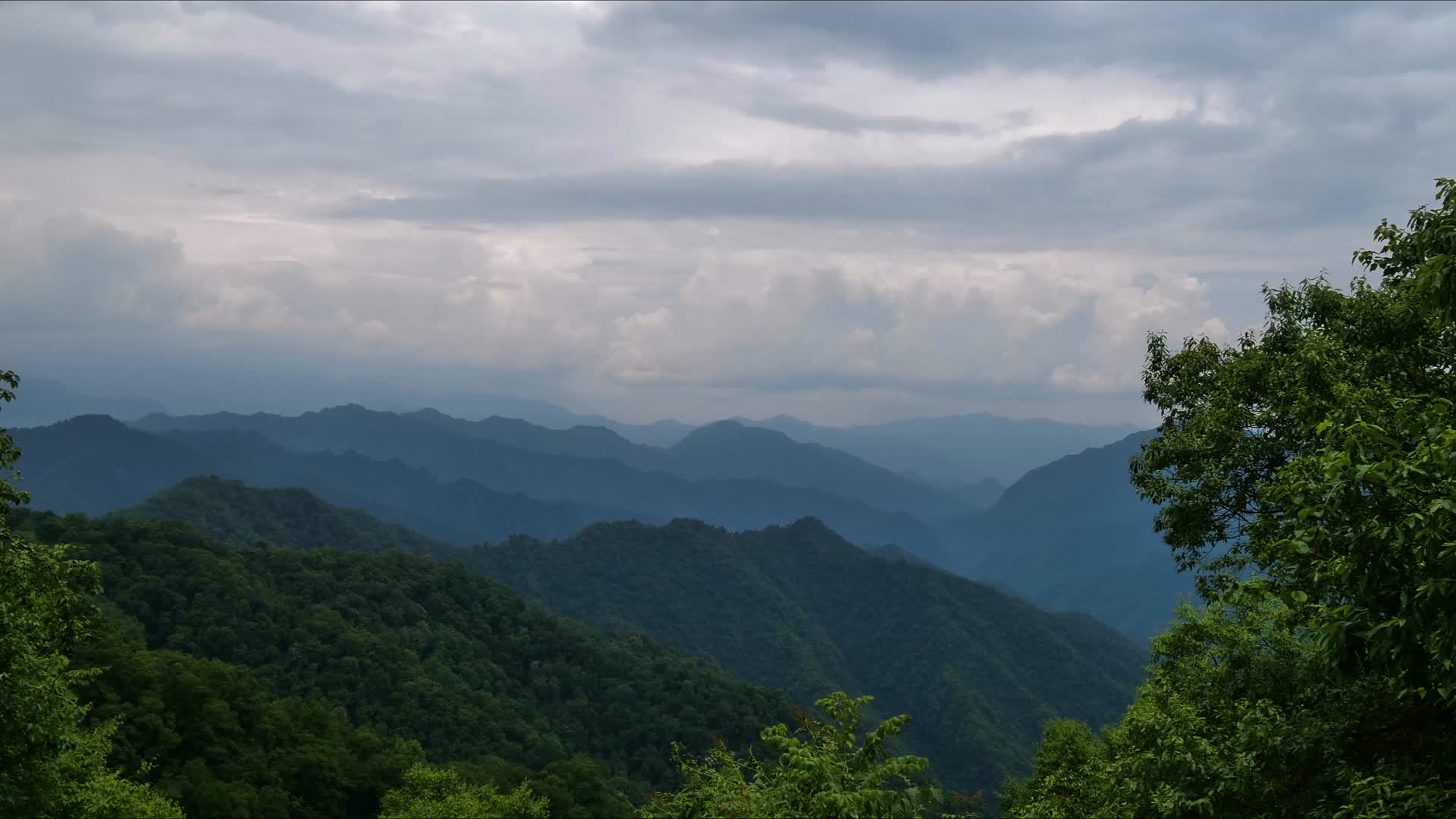 秦岭自然保护区视频的预览图