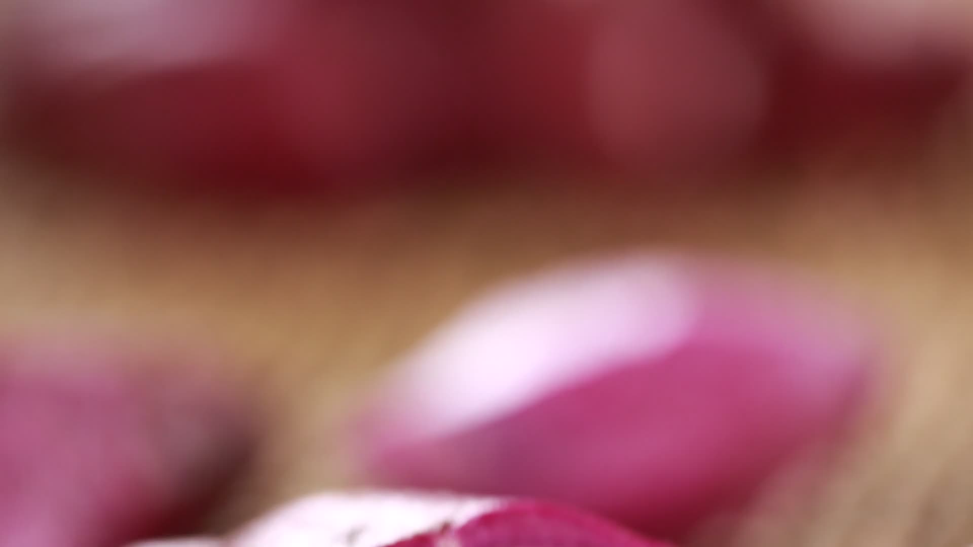 粗粮蔬菜紫薯视频的预览图