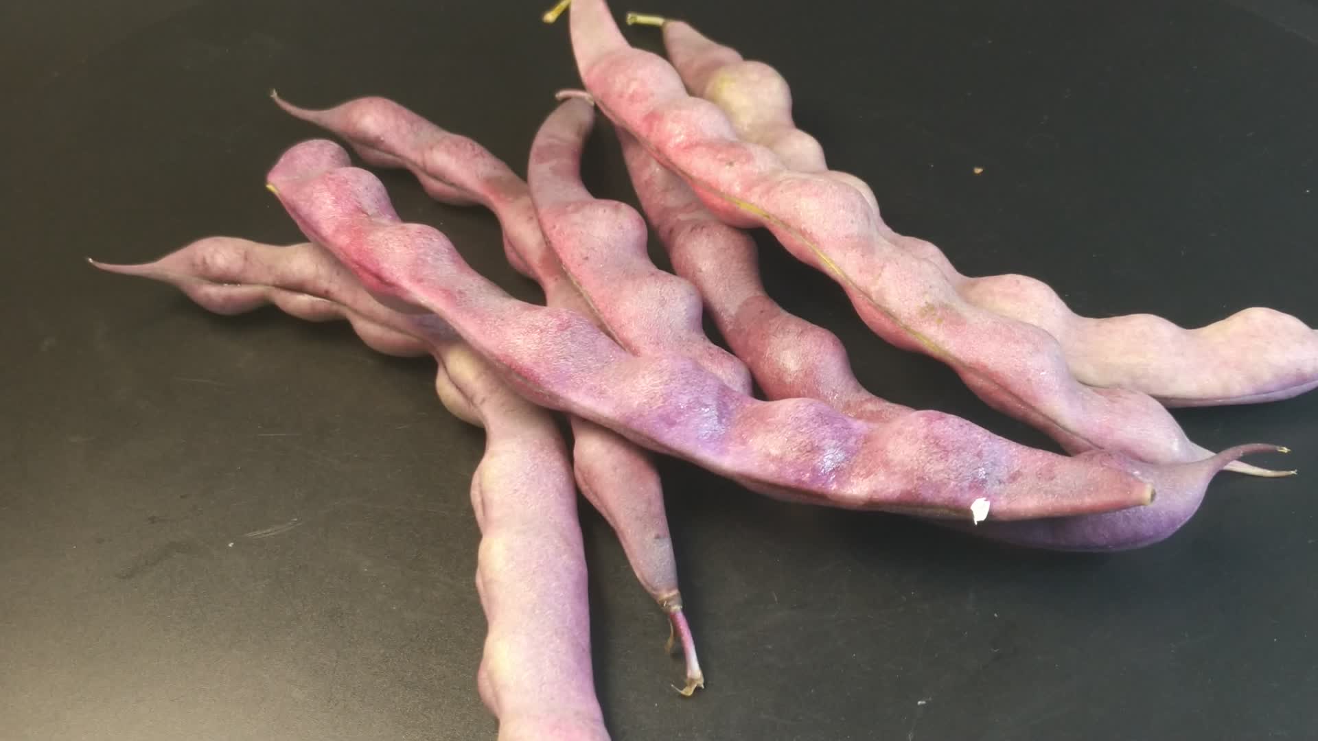 紫色四季豆豌豆视频的预览图
