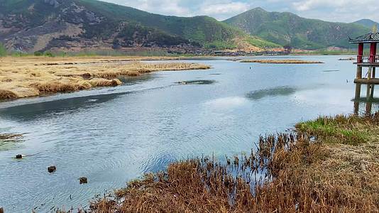 泸沽湖山水草原小岛实拍视频视频的预览图