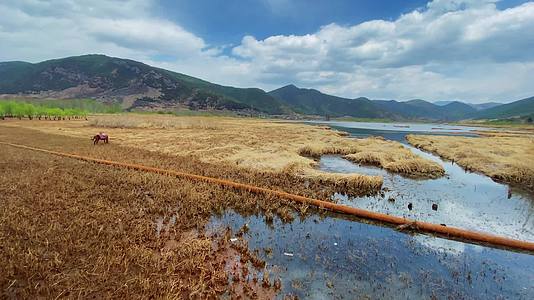 泸沽湖山水草原小岛视频的预览图