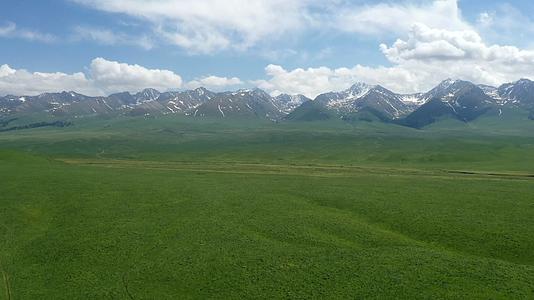 新疆那拉提大草原视频的预览图