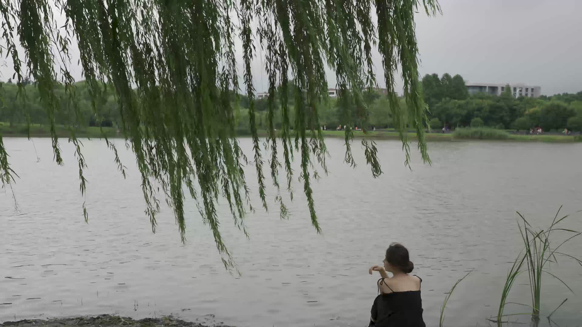 湖边杨柳下美女背影视频的预览图