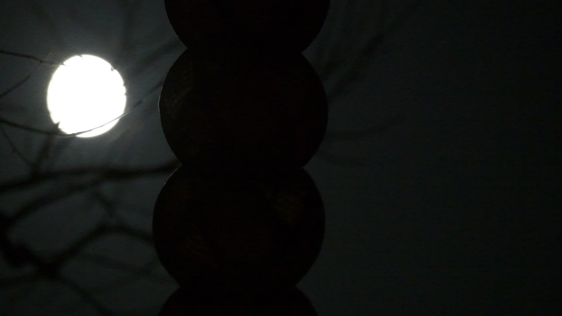 十五的月亮视频的预览图