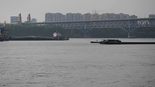 南京长江大桥下江豚与货船视频的预览图