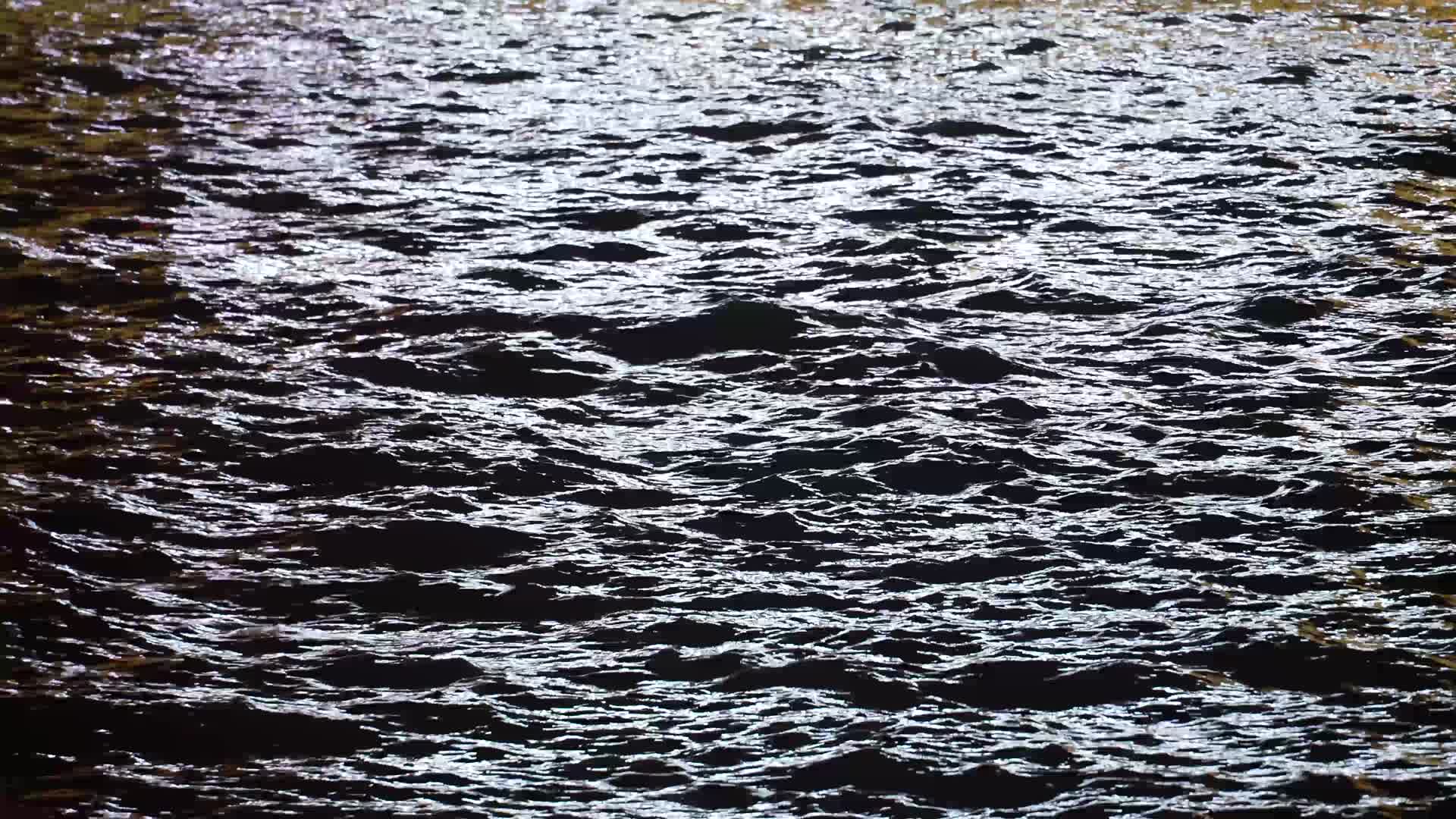 夜里的河水视频的预览图